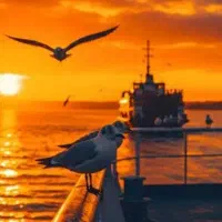 500هزار رایگان