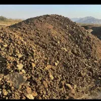 کود گوسفندی