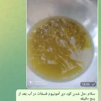 کود دی امونیوم فسفات،سولفات پتاسیم،سوپر فسفات تریپ|خدمات باغبانی و درختکاری|شهریار, شهریار|دیوار