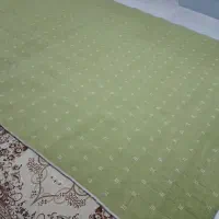 موکت و رگال