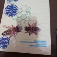 کتاب ۳۱ استان وخیلی سبز علوم وریاضی چاپ ۱۴۰۳|کتاب و مجله آموزشی|دالخانی, |دیوار