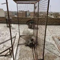 قفس بزرگ حیوانات