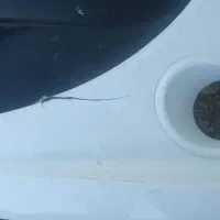 لوازم استوک بدنه ایرانخودرویی|قطعات یدکی و لوازم جانبی|شاهرود, |دیوار