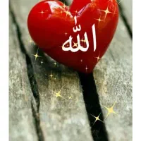 نیاز ب راهنمایی