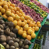 کارگر وارد یا ساده میوه فروشی با حقوق بالا