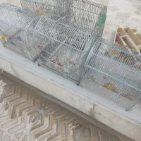 قفسه‌|حراج|اقلید, |دیوار