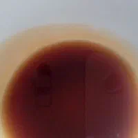 شیره انکور عسکری