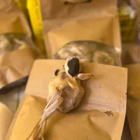سیر سیاه اصل همدان به قیمت عمده فقط کیلویی ۳۹۰|خوردنی و آشامیدنی|تهران, ونک|دیوار