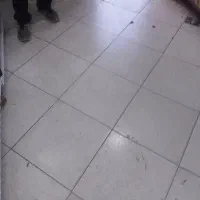 نظافت کارگریاده