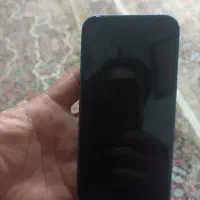 گوشی آیفون 13نرمال|موبایل|کرمان, |دیوار