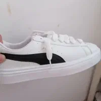 کفش فقط 550 تومن|کیف، کفش، کمربند|یزد, |دیوار