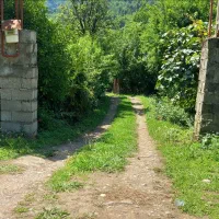 اجاره ویلا جنگلی|اجارهٔ کوتاهمدت ویلا و باغ|فومن, |دیوار