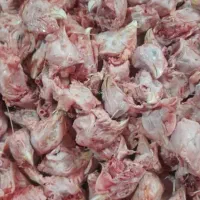 اسکلت مرغ    غذای سگ