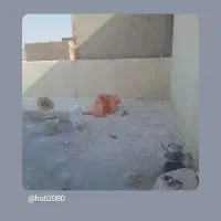 انجام کلیه امور بنایی ساختمان با قیمت بسیار مناسب|خدمات پیشه و مهارت|گلپایگان, |دیوار