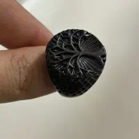 تعدادی بدلیجات|بدلیجات|پرند, فاز ۶|دیوار