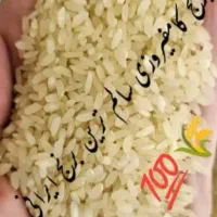فروش برنج کامفیروزی درجه ۱
