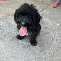 به علت نداشتن جا