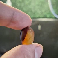 سه عدد یمنی خاص اقتصادی|جواهرات|قم, کلهری|دیوار