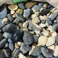سنگ اکواریم معاوضه با ماهی