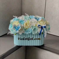 قدم نو رسیده