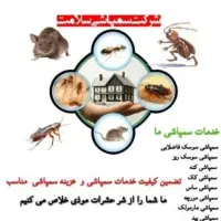 سمپاشی صددرصدتضمینی سم پاشی سوسک وساس و...|خدمات نظافت|تهران, آذری|دیوار