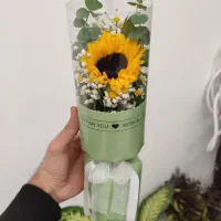 گل رز/تک شاخه/بوکت|گل و گیاه طبیعی|قم, میرزائیه|دیوار