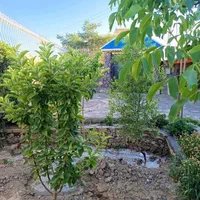 باغ ویلا توس لقمانی