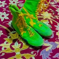 کفش کشتی|کیف، کفش، کمربند|مینودشت, |دیوار