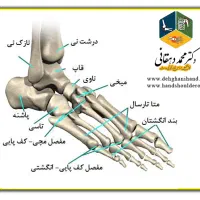 ماساژ حجامت فصد خون|خدمات آرایشگری و زیبایی|رباطکریم, نصیرشهر|دیوار