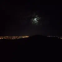 فروش گاوداری