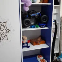 قفسه کتاب و عروسک