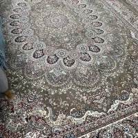 فرش ۹متری|فرش|گلپایگان, |دیوار