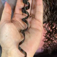 خدمات لوکس مو، فر و کراتین حرفه‌ای و احیای مو