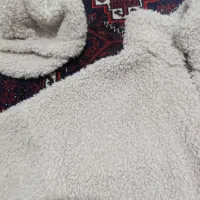 پالتو وبارونی|لباس|تربت‌حیدریه, طالقانی|دیوار