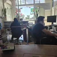 حسابدار خانم