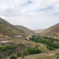 استخدام راننده بیل مکانیکی و آبدارچی