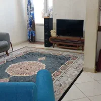 یه تخته فرش9متری هایلی