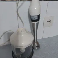 گوشت کوب و خرد کن