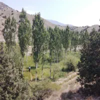 فروش-زمین-کشاورزی-در-منطقه-خوش-آب-و-هوا
