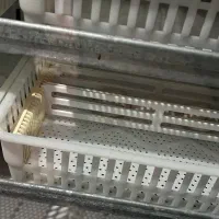 دستگاه جوجه کشی ازماتخم نطفه دار ازشما