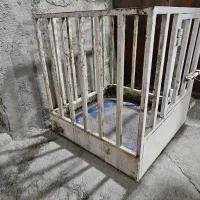 قفس|لوازم جانبی حیوانات|کرمانشاه, |دیوار