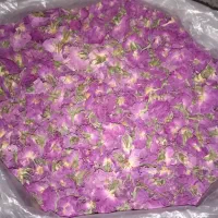 گل محمدی خشک