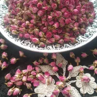 غنچه لاله زار صادراتی