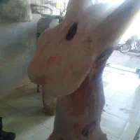 گوشت گوسفند بره نر مهرابی ۷۵۰|خوردنی و آشامیدنی|سبزوار, باهنر|دیوار