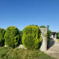 ۵۰۰متر خونه باغ آبمال