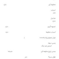 آبمیوه گیری 4 کاره رومانتیک هوم مدل GS306کارتن دار|آبمیوه‌گیر و آب‌مرکبات‌گیر|خرم‌آباد, |دیوار