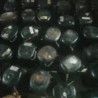 تعمیرات.شارژگاز.انواع کولر.ویخچال|خدمات پیشه و مهارت|بندرعباس, |دیوار