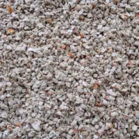 بذرگوجه داخلی