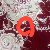 فرش|فرش|پاکدشت, پاکدشت (مامازند)|دیوار