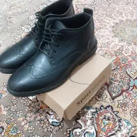 کفش مجلسی|کیف، کفش، کمربند|همدان, |دیوار